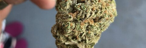 badmiaw OnlyFans - Free Access to 32 Videos & 49 Photos Onlyfans Free Access