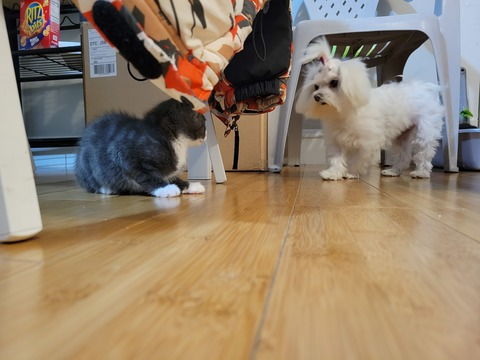 bahiabeca OnlyFans - Free Access to 32 Videos & 49 Photos Onlyfans Free Access