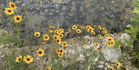 bananacakes21 OnlyFans - Free Access to 32 Videos & 49 Photos Onlyfans Free Access