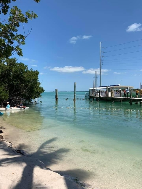 bankz1234 OnlyFans - Free Access to 32 Videos & 49 Photos Onlyfans Free Access