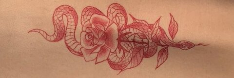 baygoheart OnlyFans - Free Access to 32 Videos & 49 Photos Onlyfans Free Access