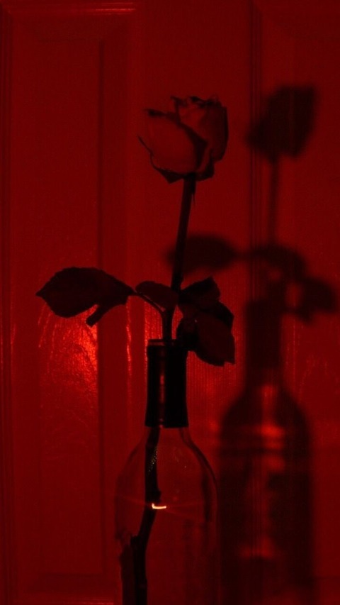 bbwmoon23 OnlyFans - Free Access to 32 Videos & 49 Photos Onlyfans Free Access