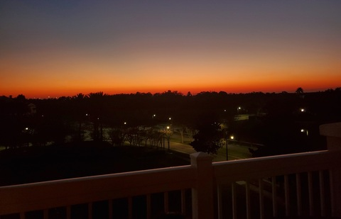 bbwricanqueen OnlyFans - Free Access to 32 Videos & 49 Photos Onlyfans Free Access