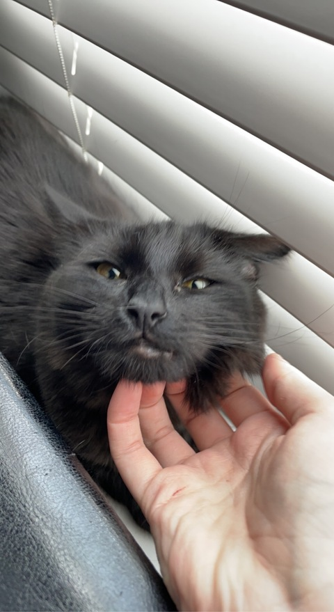 bbycasper OnlyFans - Free Access to 32 Videos & 49 Photos Onlyfans Free Access