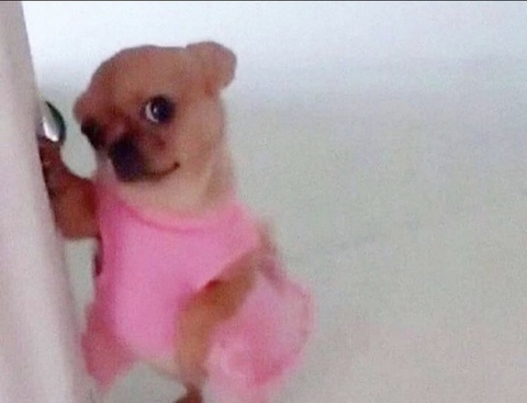 bbygiirl69 OnlyFans - Free Access to 32 Videos & 49 Photos Onlyfans Free Access