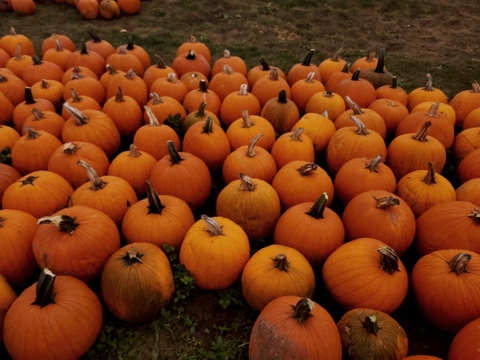 bbyygrill OnlyFans - Free Access to 32 Videos & 49 Photos Onlyfans Free Access