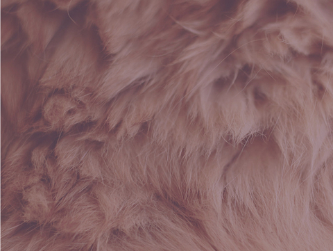 bea222 OnlyFans - Free Access to 32 Videos & 59 Photos Onlyfans Free Access