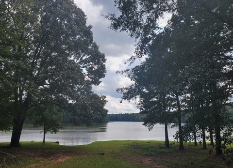 beardeddecepticon OnlyFans - Free Access to 32 Videos & 49 Photos Onlyfans Free Access