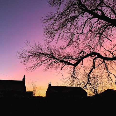 beetlejuicebooty OnlyFans - Free Access to 32 Videos & 49 Photos Onlyfans Free Access