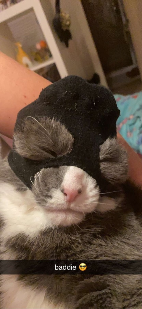 bella.p OnlyFans - Free Access to 32 Videos & 49 Photos Onlyfans Free Access