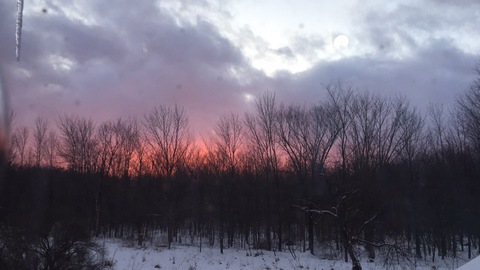 bhadbreeze OnlyFans - Free Access to 32 Videos & 49 Photos Onlyfans Free Access