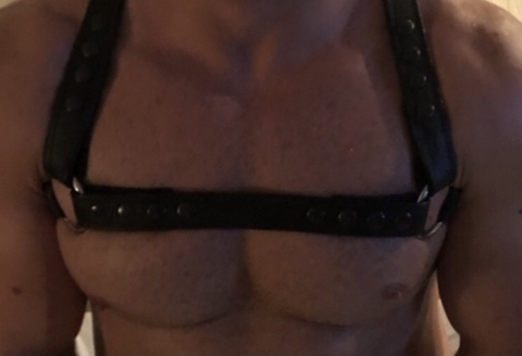 bigdickalphabull OnlyFans - Free Access to 32 Videos & 49 Photos Onlyfans Free Access