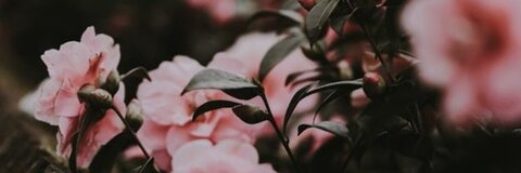 bigmac_twink OnlyFans - Free Access to 32 Videos & 49 Photos Onlyfans Free Access