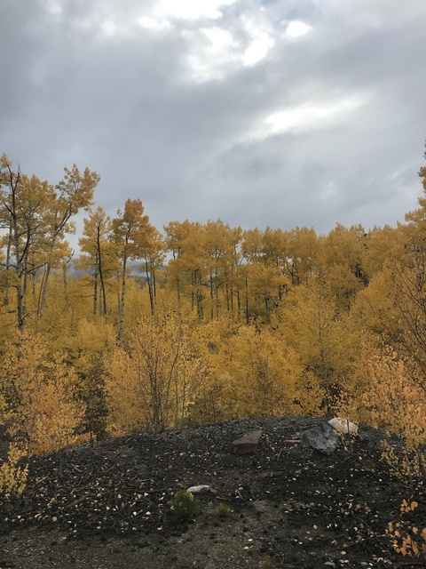 bigpeach1992 OnlyFans - Free Access to 32 Videos & 97 Photos Onlyfans Free Access