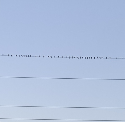 bigstaxxx92 OnlyFans - Free Access to 32 Videos & 49 Photos Onlyfans Free Access