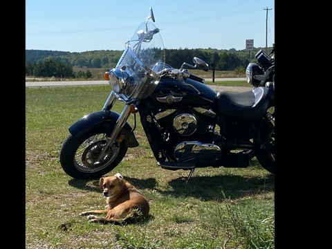 bikerandhisollady OnlyFans - Free Access to 32 Videos & 49 Photos Onlyfans Free Access