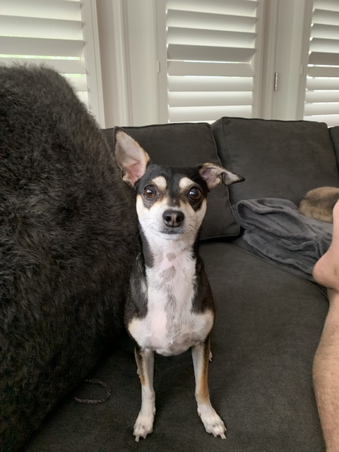 binks OnlyFans - Free Access to 32 Videos & 49 Photos Onlyfans Free Access