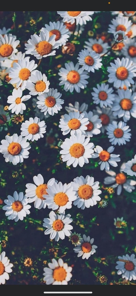 blairblasian OnlyFans - Free Access to 68 Videos & 49 Photos Onlyfans Free Access