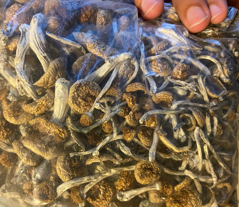 blakegatess OnlyFans - Free Access to 32 Videos & 49 Photos Onlyfans Free Access