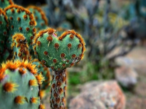 blondeadventuregirl OnlyFans - Free Access to 32 Videos & 49 Photos Onlyfans Free Access