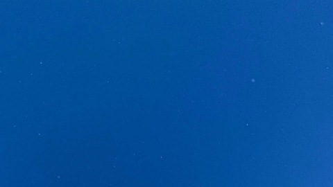 blondie.boo OnlyFans - Free Access to 32 Videos & 49 Photos Onlyfans Free Access