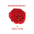 blossomhoney profile picture