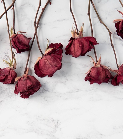 blossomood OnlyFans - Free Access to 32 Videos & 49 Photos Onlyfans Free Access