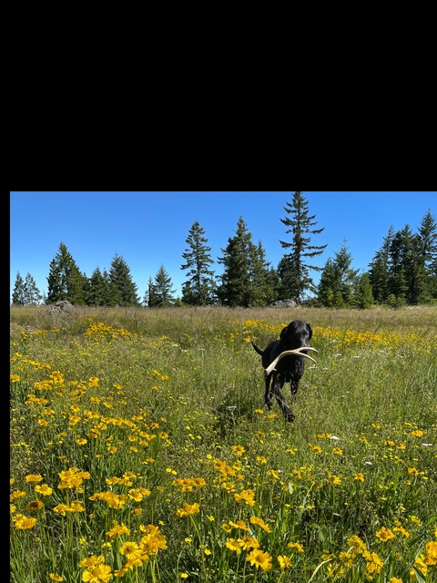 bombshellblondee93 OnlyFans - Free Access to 32 Videos & 49 Photos Onlyfans Free Access