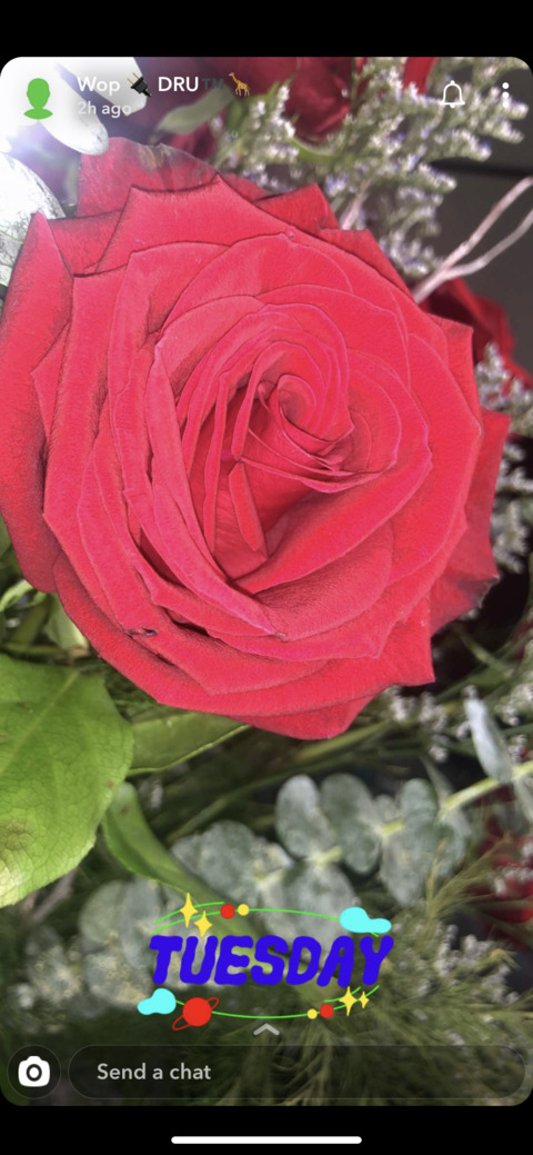 bosstonnaaa OnlyFans - Free Access to 32 Videos & 49 Photos Onlyfans Free Access