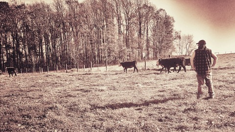 bottomcountry OnlyFans - Free Access to 32 Videos & 49 Photos Onlyfans Free Access