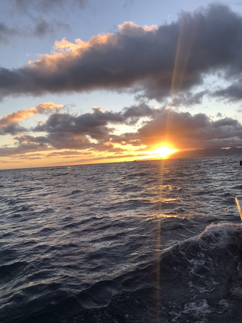 bree69luvsyou OnlyFans - Free Access to 73 Videos & 109 Photos Onlyfans Free Access