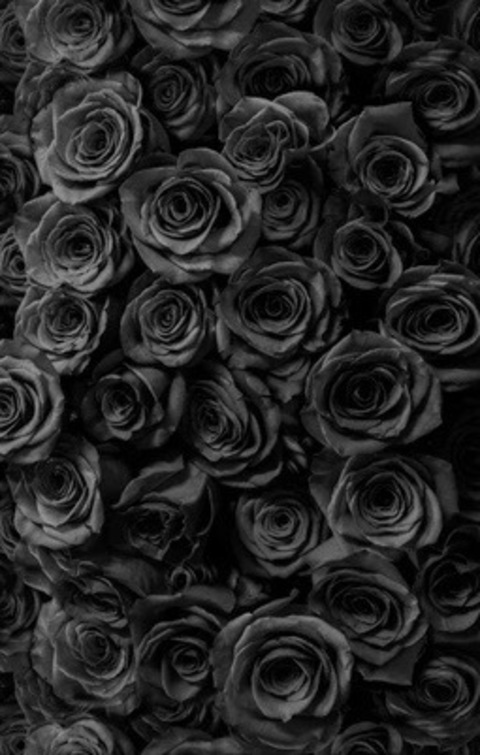 briii_babyyy_2 OnlyFans - Free Access to 32 Videos & 49 Photos Onlyfans Free Access