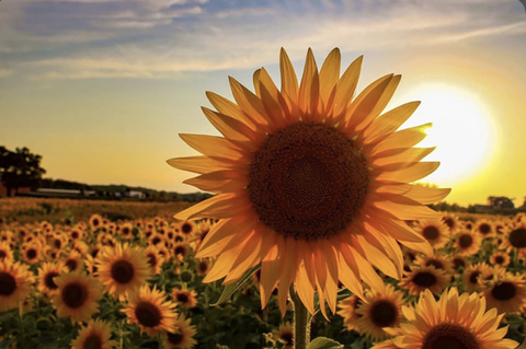 britt339 OnlyFans - Free Access to 32 Videos & 49 Photos Onlyfans Free Access