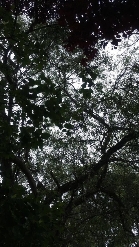 brooklynbbx OnlyFans - Free Access to 32 Videos & 49 Photos Onlyfans Free Access