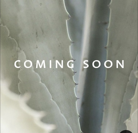 browniebee OnlyFans - Free Access to 32 Videos & 49 Photos Onlyfans Free Access