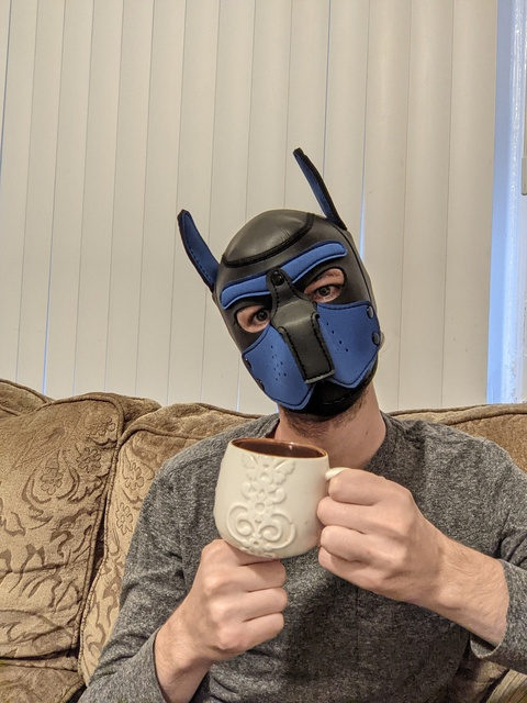 bubblebuttpup OnlyFans - Free Access to 32 Videos & 111 Photos Onlyfans Free Access