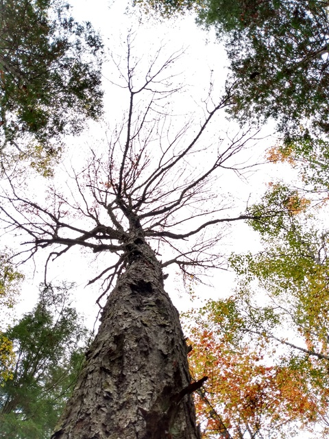 bubblyfirefighter7 OnlyFans - Free Access to 32 Videos & 49 Photos Onlyfans Free Access