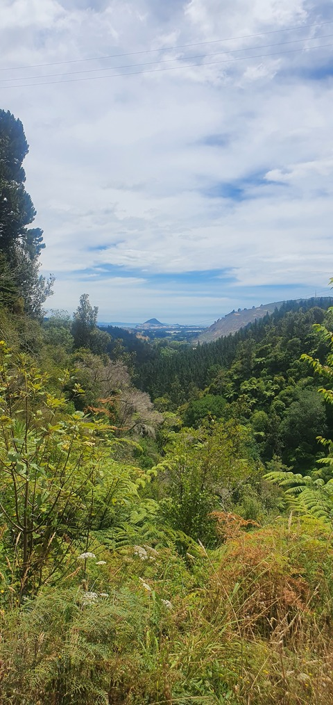 buckyfans OnlyFans - Free Access to 32 Videos & 49 Photos Onlyfans Free Access