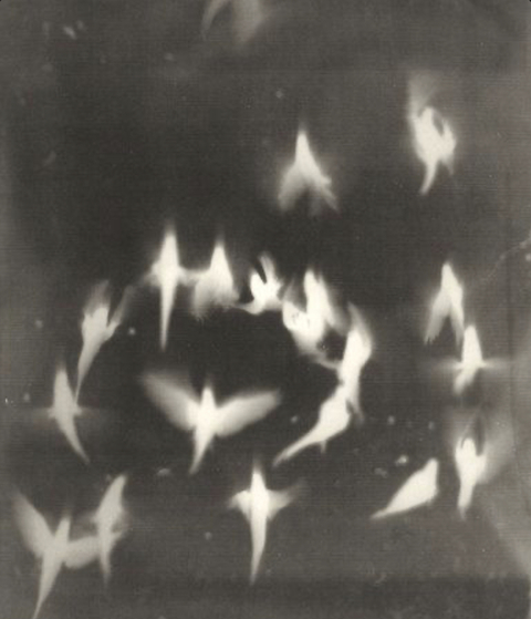 bunniegutzz OnlyFans - Free Access to 32 Videos & 139 Photos Onlyfans Free Access