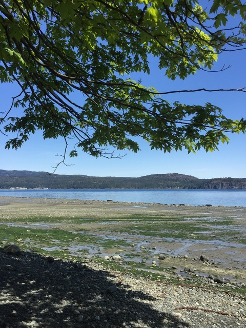 burtneybaby OnlyFans - Free Access to 72 Videos & 611 Photos Onlyfans Free Access