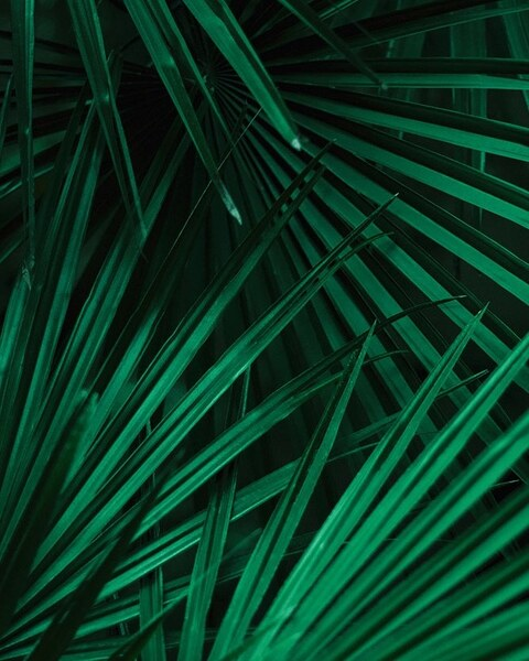 bvbblegum OnlyFans - Free Access to 32 Videos & 49 Photos Onlyfans Free Access