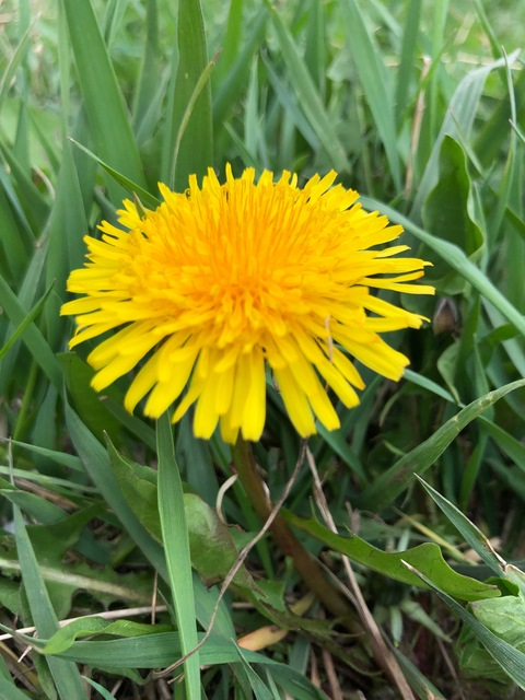 byaadventures OnlyFans - Free Access to 32 Videos & 49 Photos Onlyfans Free Access