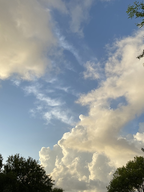 c0llegedropout OnlyFans - Free Access to 32 Videos & 49 Photos Onlyfans Free Access