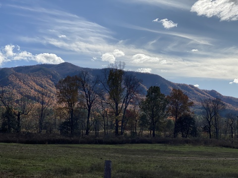 caitjaee OnlyFans - Free Access to 32 Videos & 49 Photos Onlyfans Free Access