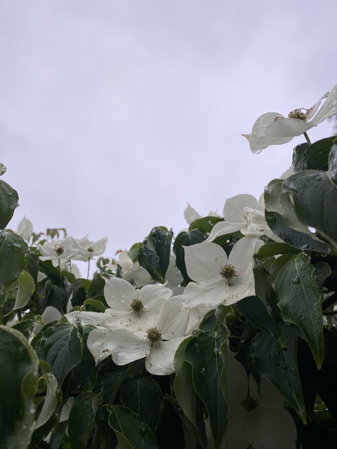 caitlin-paige182 OnlyFans - Free Access to 32 Videos & 49 Photos Onlyfans Free Access