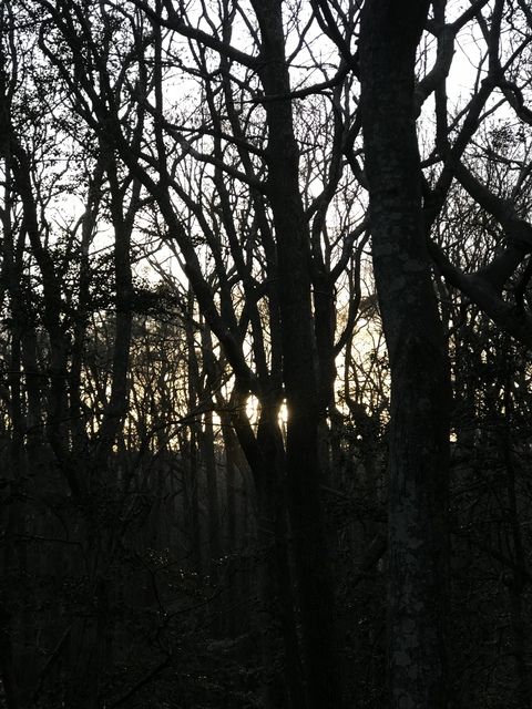 cakeaddict OnlyFans - Free Access to 32 Videos & 49 Photos Onlyfans Free Access