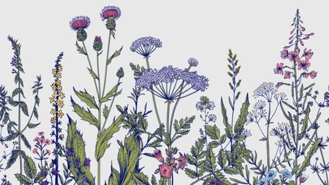 callalillie OnlyFans - Free Access to 32 Videos & 90 Photos Onlyfans Free Access