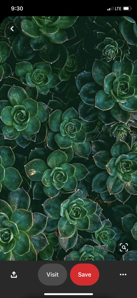 callmeaye OnlyFans - Free Access to 32 Videos & 49 Photos Onlyfans Free Access