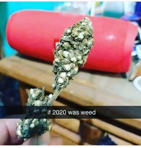 camabisprime OnlyFans - Free Access to 70 Videos & 49 Photos Onlyfans Free Access