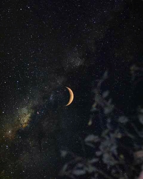 caramoon OnlyFans - Free Access to 47 Videos & 194 Photos Onlyfans Free Access